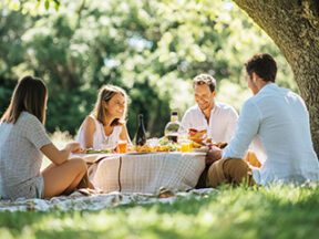 Photo of four adults picnicking under a tree