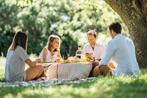 Photo of four adults picnicking under a tree