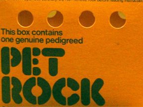 Image of a Pet Rock box
