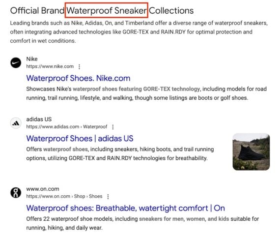 Web Guide's list of brands selling waterproof sneakers Google search results page for “Waterproof Sneaker,” showing branded results from Nike, Adidas, and On. Each result includes a headline about waterproof shoes and brief descriptions referencing materials like GORE-TEX and RAIN.RDY. A product photo appears next to the Adidas listing.