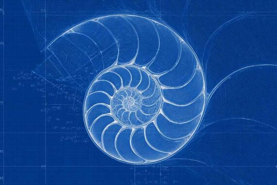 Ilustration of the Fibonacci sequence Ilustration of the Fibonacci sequence