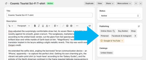 Screenshot of the Shopify admin showing the feed error Screenshot of the Shopify admin showing the feed error