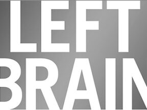 Partial cover of "Left Brain, Right Stuff"