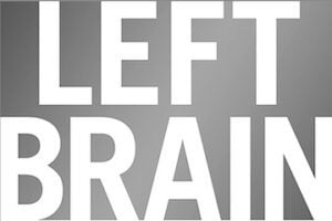 Partial cover of "Left Brain, Right Stuff"