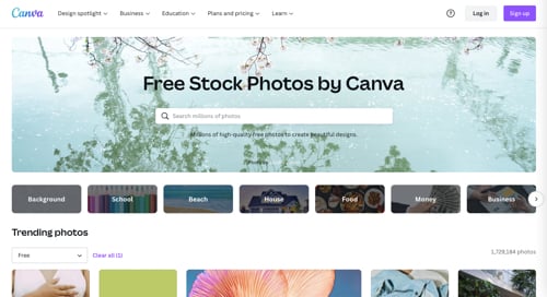 Screenshot of Canva free image search. Screenshot of Canva free image search.