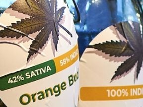 Photo of legal marijuana in a retail setting