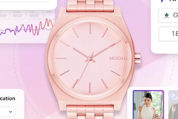 Image from Teikametrics of a watch