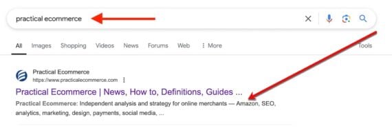 Screenshot of SERP for a query of "practical ecommerce"