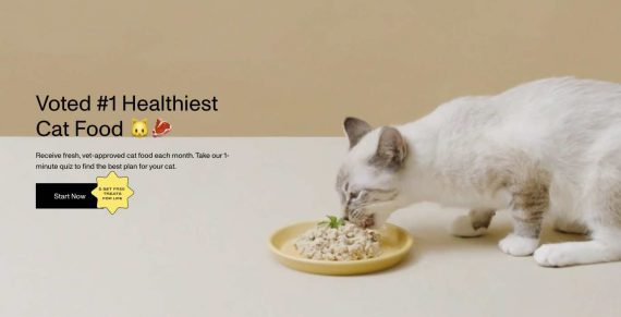 Screenshot from the Smalls home page. Screenshot from the Smalls home page.