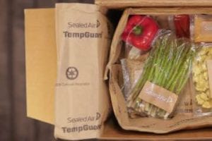 Screenshot of TempGuard packaging from SealedAir