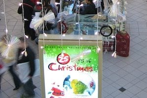 Will Shopping Malls Survive?